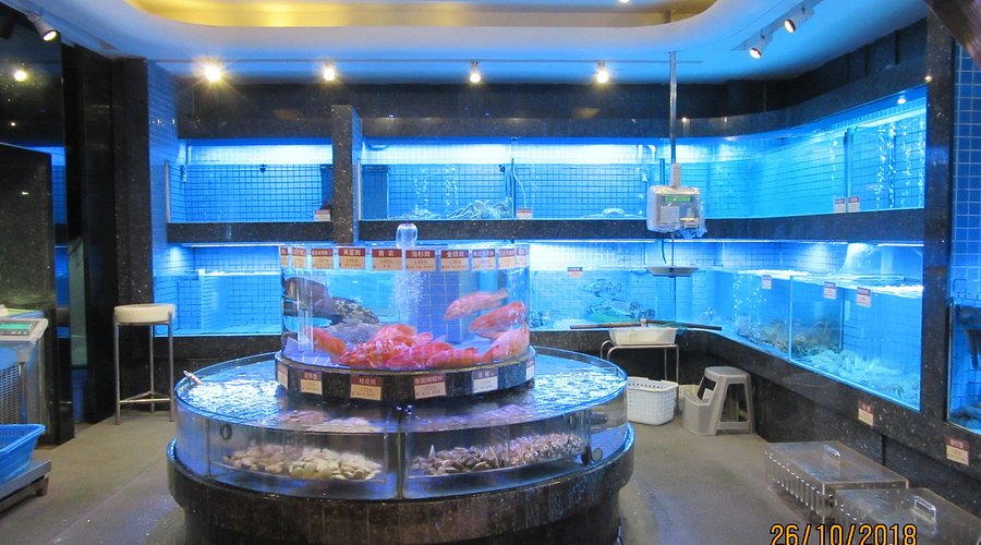 Seafood Aquarium (Cu